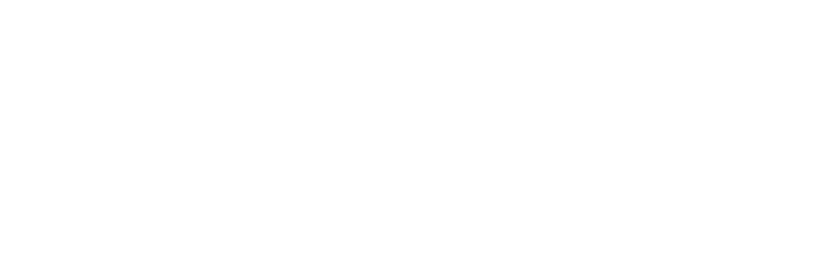 Nestor-Financial-Network-Logo